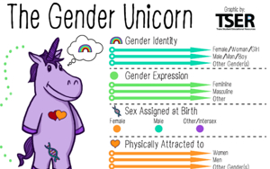 Gender Unicorn (sex unknown)