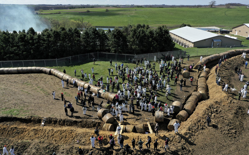 Hundreds trying to storm Wisconsin beagle research facility met with rubber bullets, pepper spray