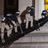 Columbia University agrees to pay more than $220M in deal to restore federal funding