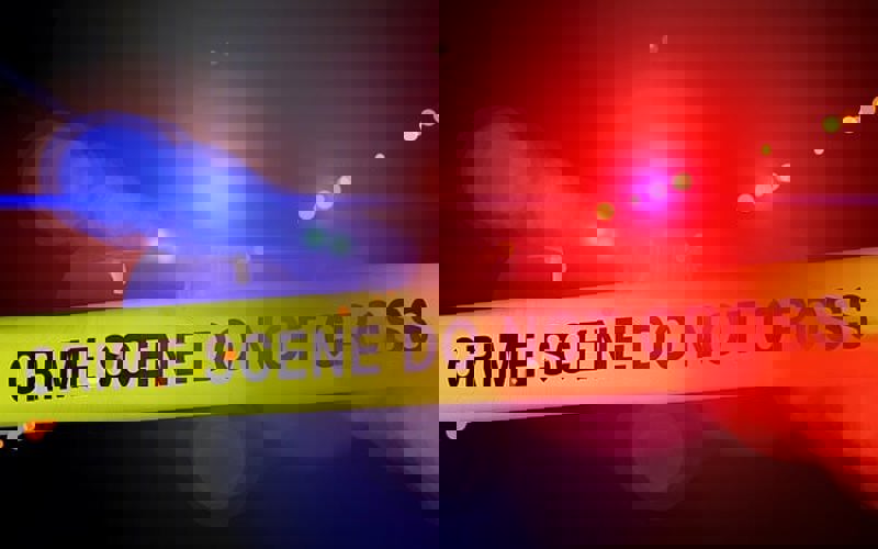 Crime numbers are bad and being covered up, analyst says