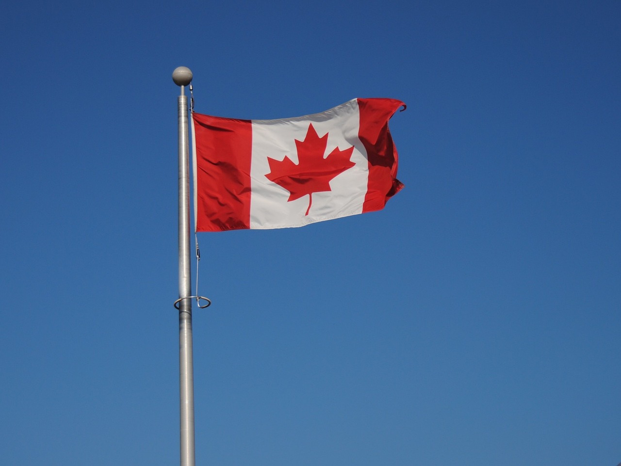 Air Canada suspends restart plans after flight attendants defy return to work order