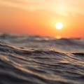 EPA administrator denies knowledge of abortion-contaminated water