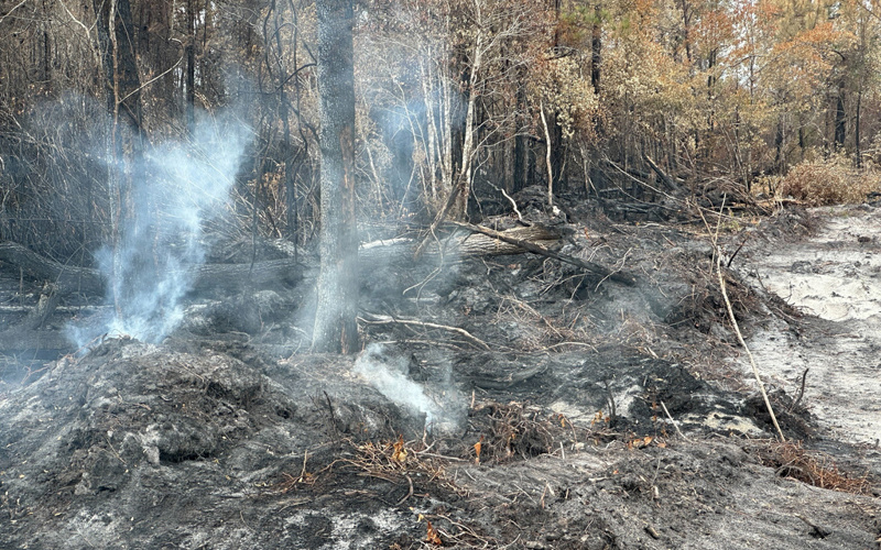 Georgia officials warn wildfires are still a threat