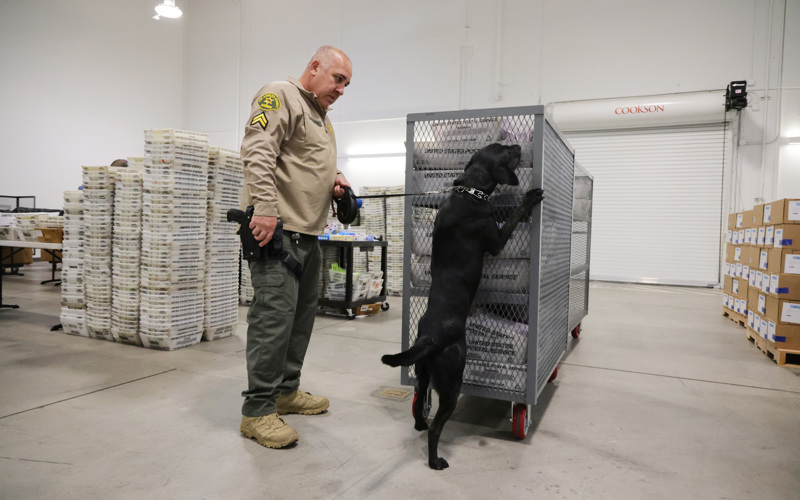 Big changes to the agency charged with securing elections lead to midterm worries