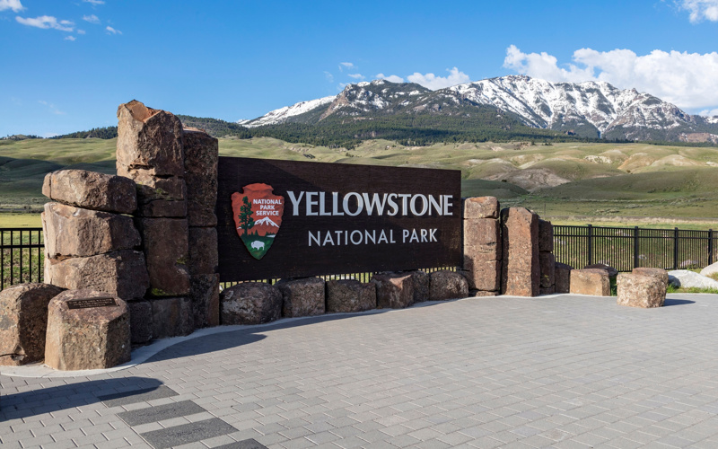 Bear attack injures two hikers in Yellowstone National Park
