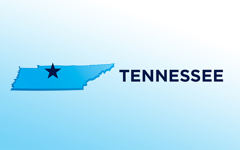 Parents and child killed when tree falls on car as heavy rain and flooding hit Tennessee