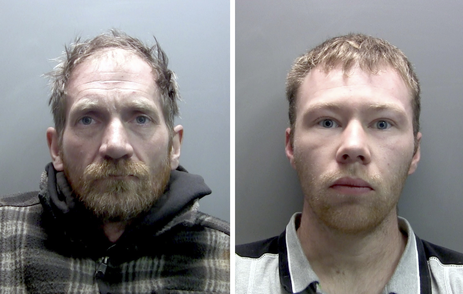 2 British men get 4-year prison terms for cutting down iconic tree