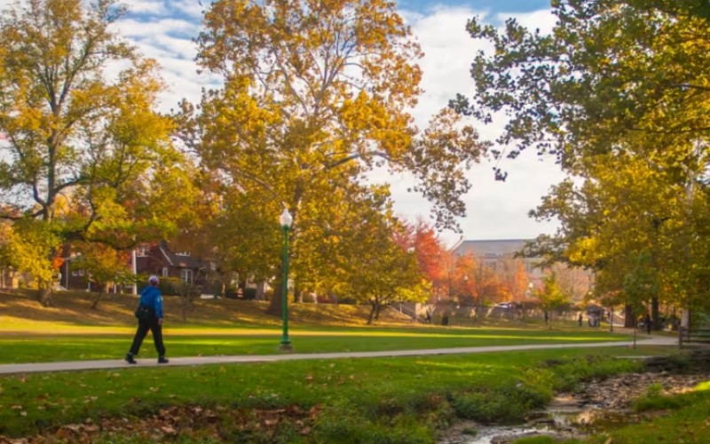 Officials remain mum on whether protesters will pay for damage to beloved area of IU campus