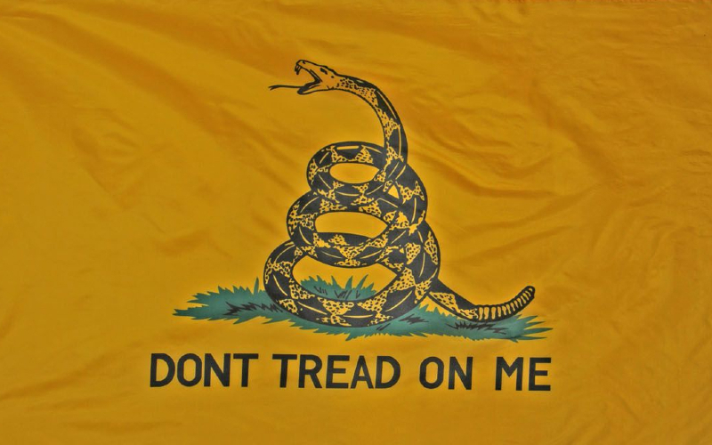 Don't tread on Jaiden: Colorado school backtracks over 7th grader's Gadsden flag