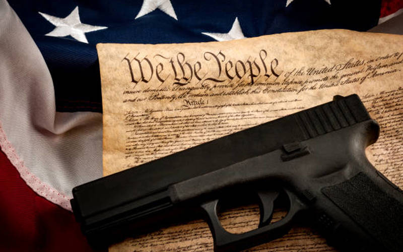 The judge is right – Pro-gun litigants have the law on their side